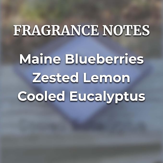 Farm Fresh Blueberry Outdoor Candle