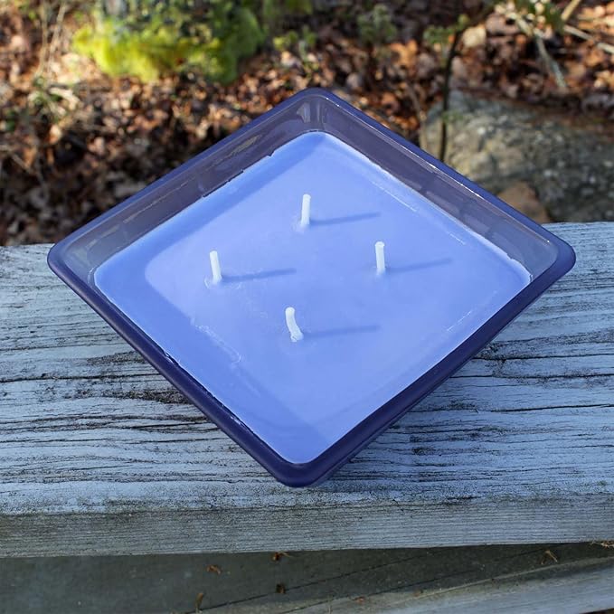 Farm Fresh Blueberry Outdoor Candle