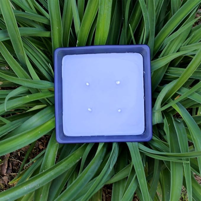Farm Fresh Blueberry Outdoor Candle