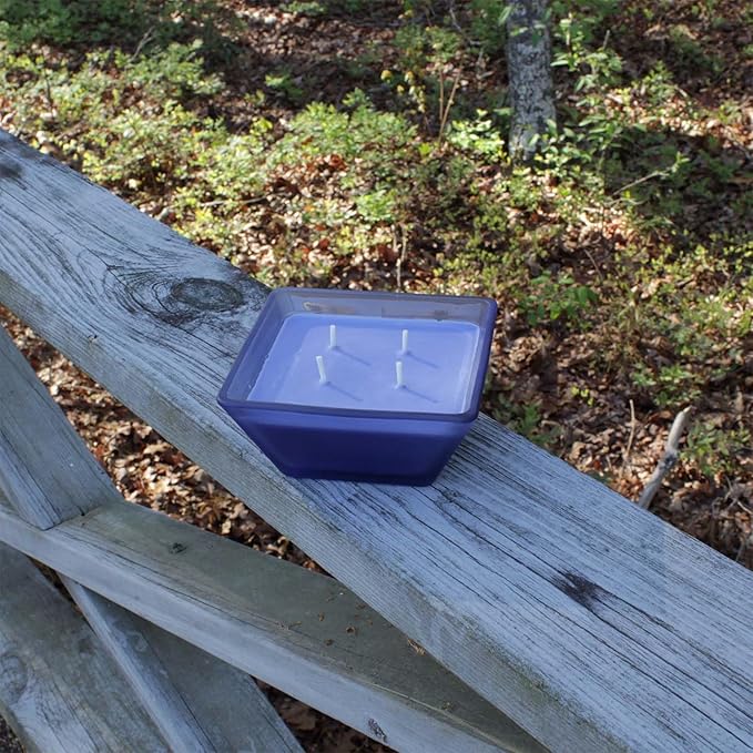 Farm Fresh Blueberry Outdoor Candle
