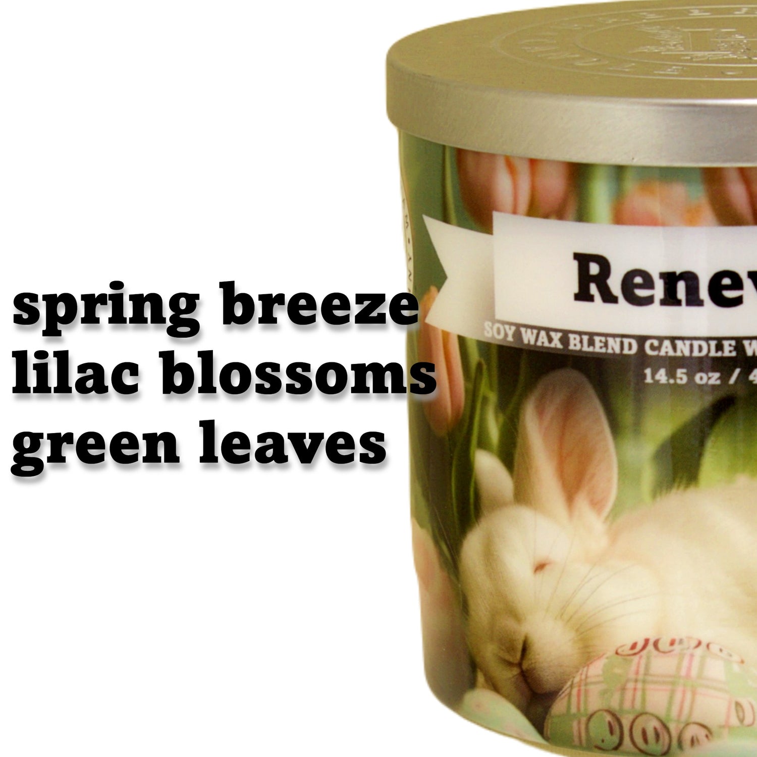 Renewal 3 Wick Scented Candle
