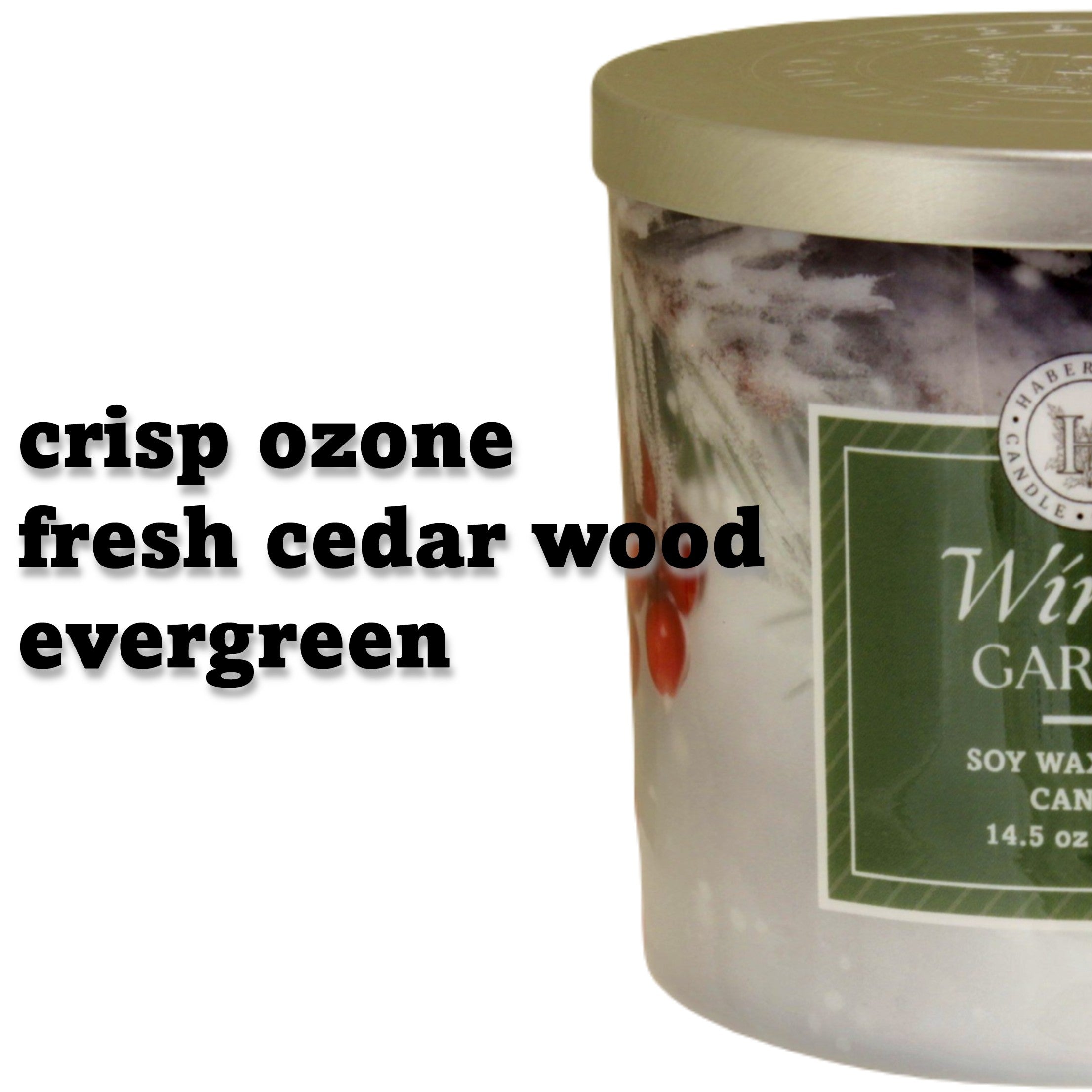 Winter Garden 3 Wick Scented Candle