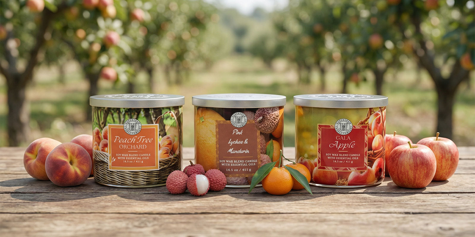 Fruit Candles Everyone Comes Back to Light Again