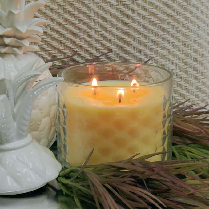 Pineapple Coast 16oz Scented Candle Double hot Wick