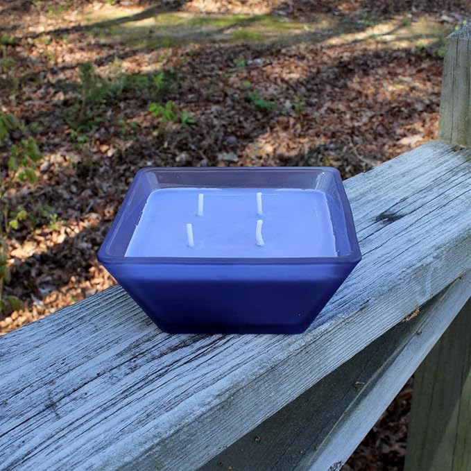 Farm Fresh Blueberry Outdoor Candle