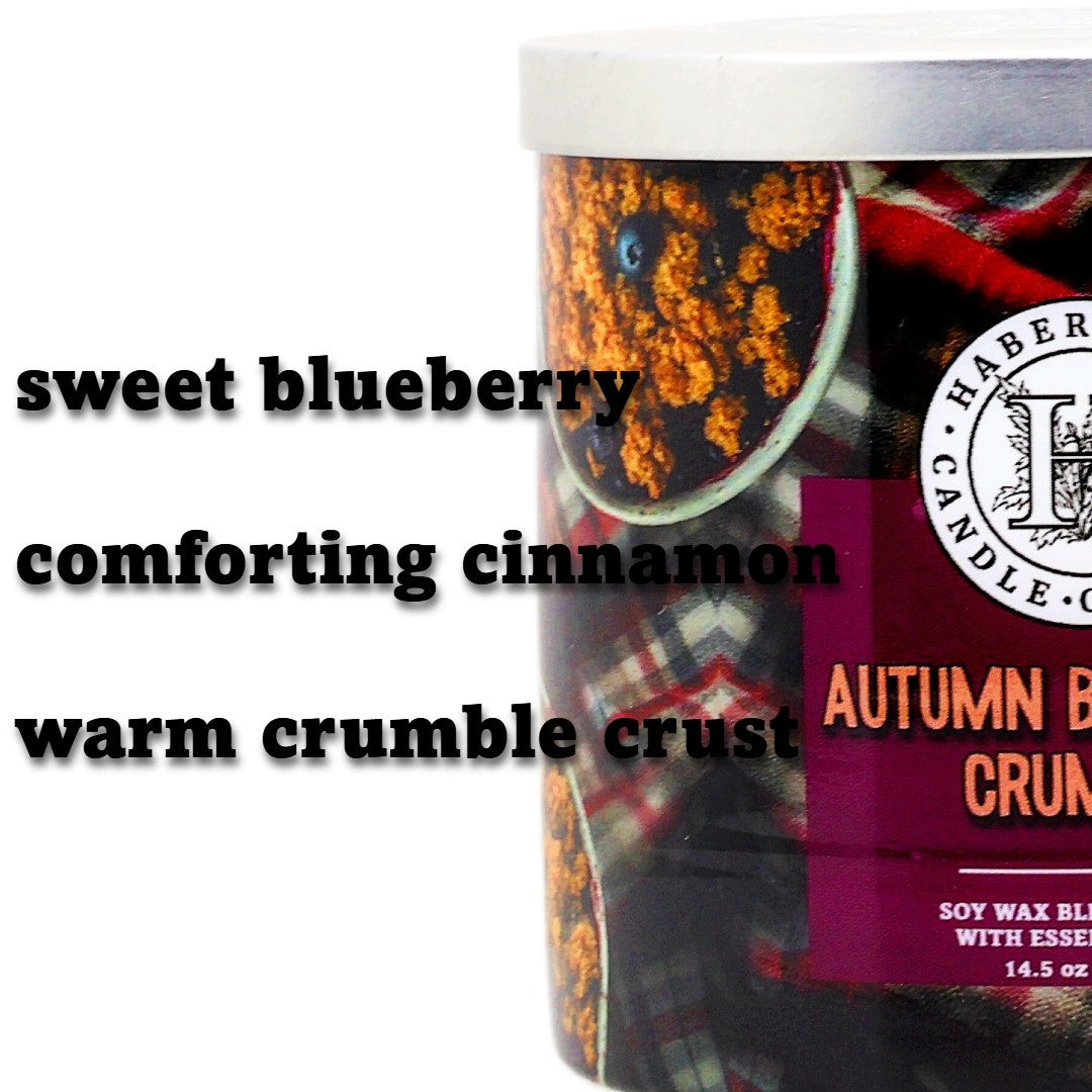 Autumn Blueberry Crumble 3 Wick Scented Candle
