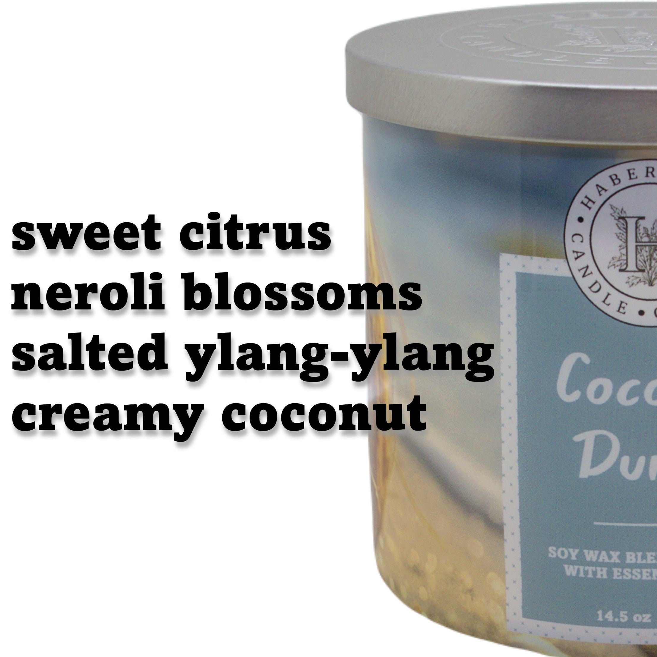 Coconut Dunes 3 Wick Scented Candle