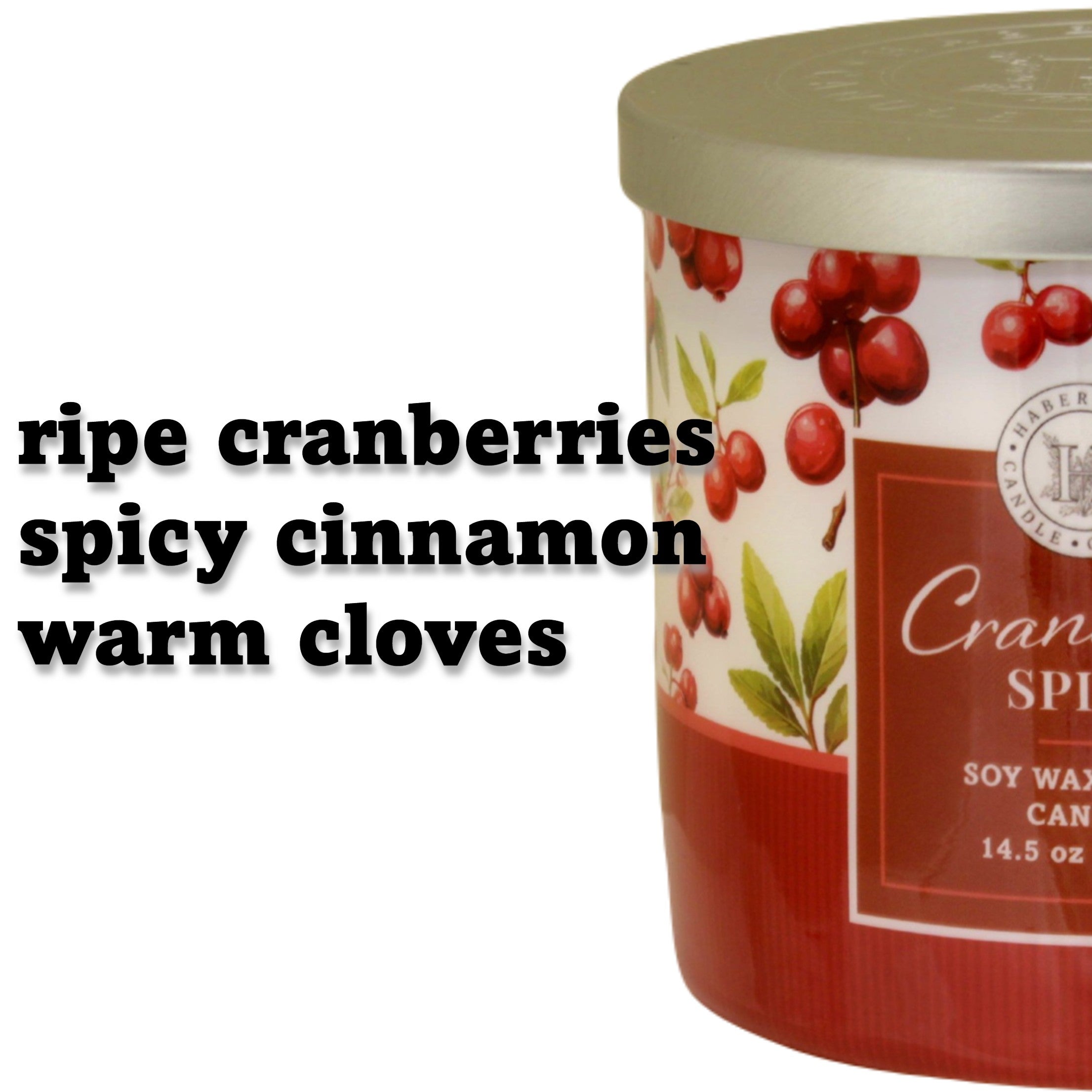 Cranberry Spice 3 Wick Scented Candle