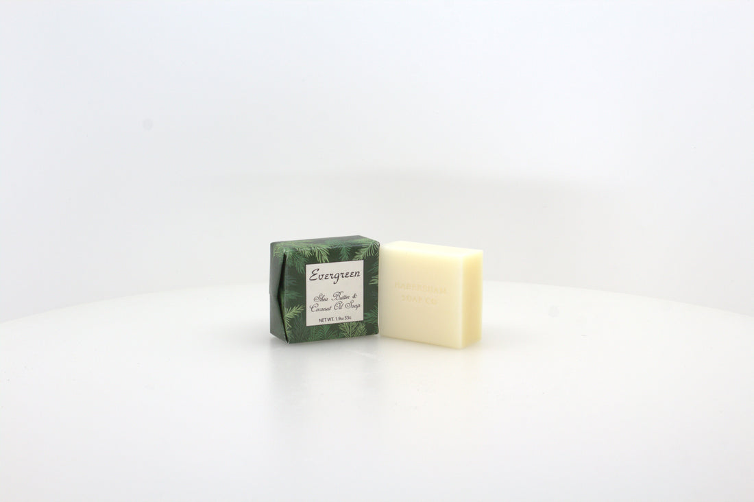 Evergreen Soap with Shea Butter &amp; Coconut Oil - 1.9 oz. -- 12 Pack Individually Wrapped Bars