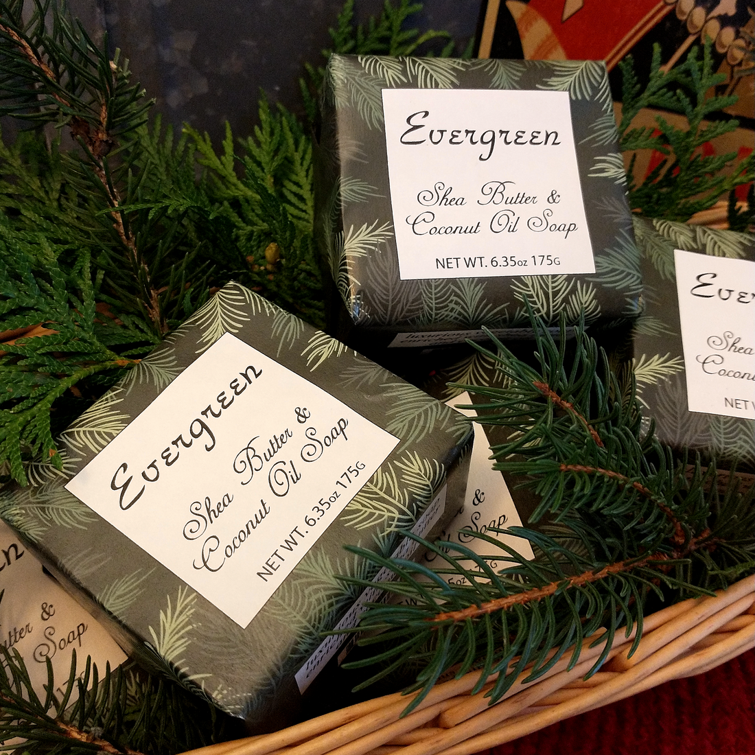 Evergreen Soap with Shea Butter &amp; Coconut Oil - 6 Pack Individually Wrapped Bars