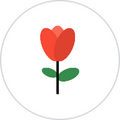 Floral