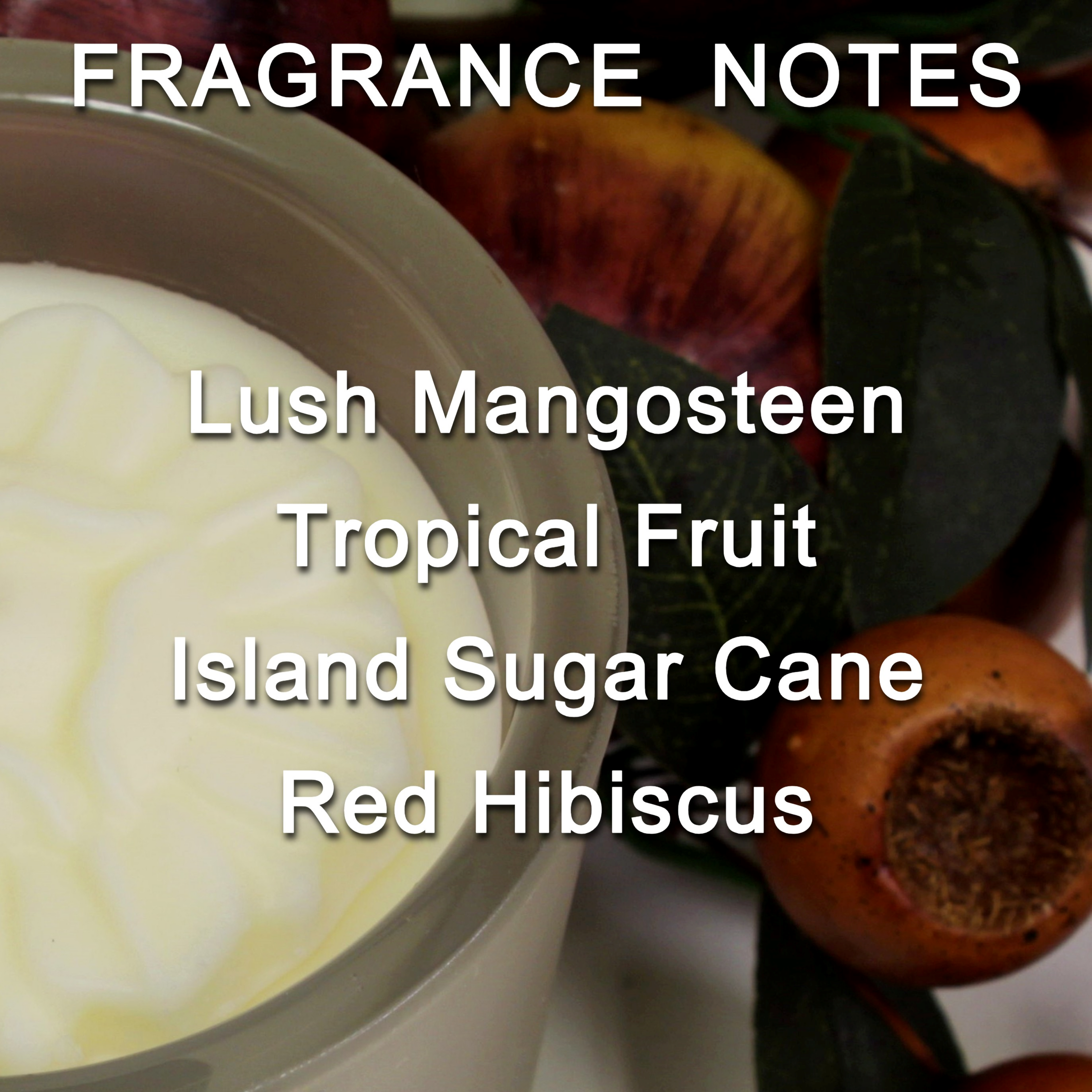 Habersham Rondure Candle – Mangosteen Ambrosia Scented Candle