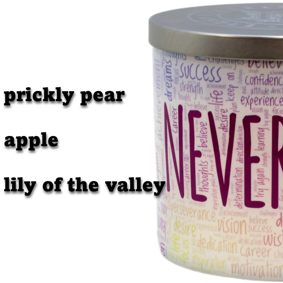 Never Give Up 3 Wick Scented Candle