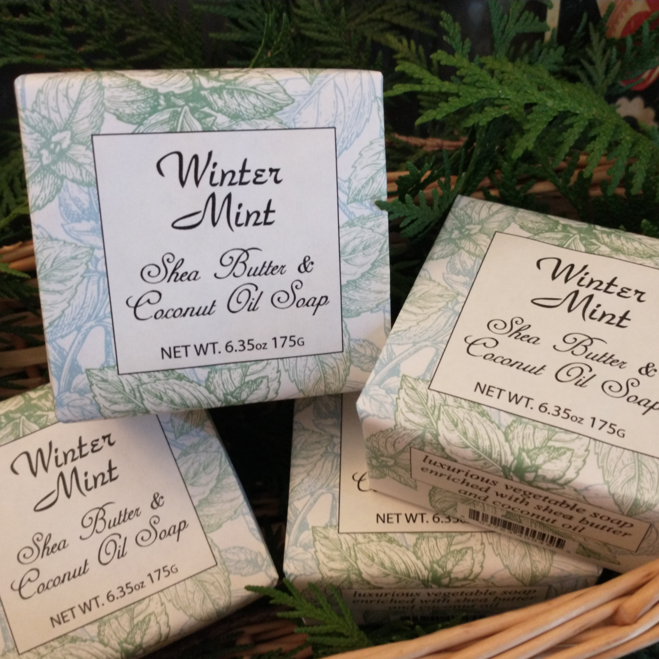 Winter Mint with Shea Butter &amp; Coconut Oil - 6 Pack Individually Wrapped Bars