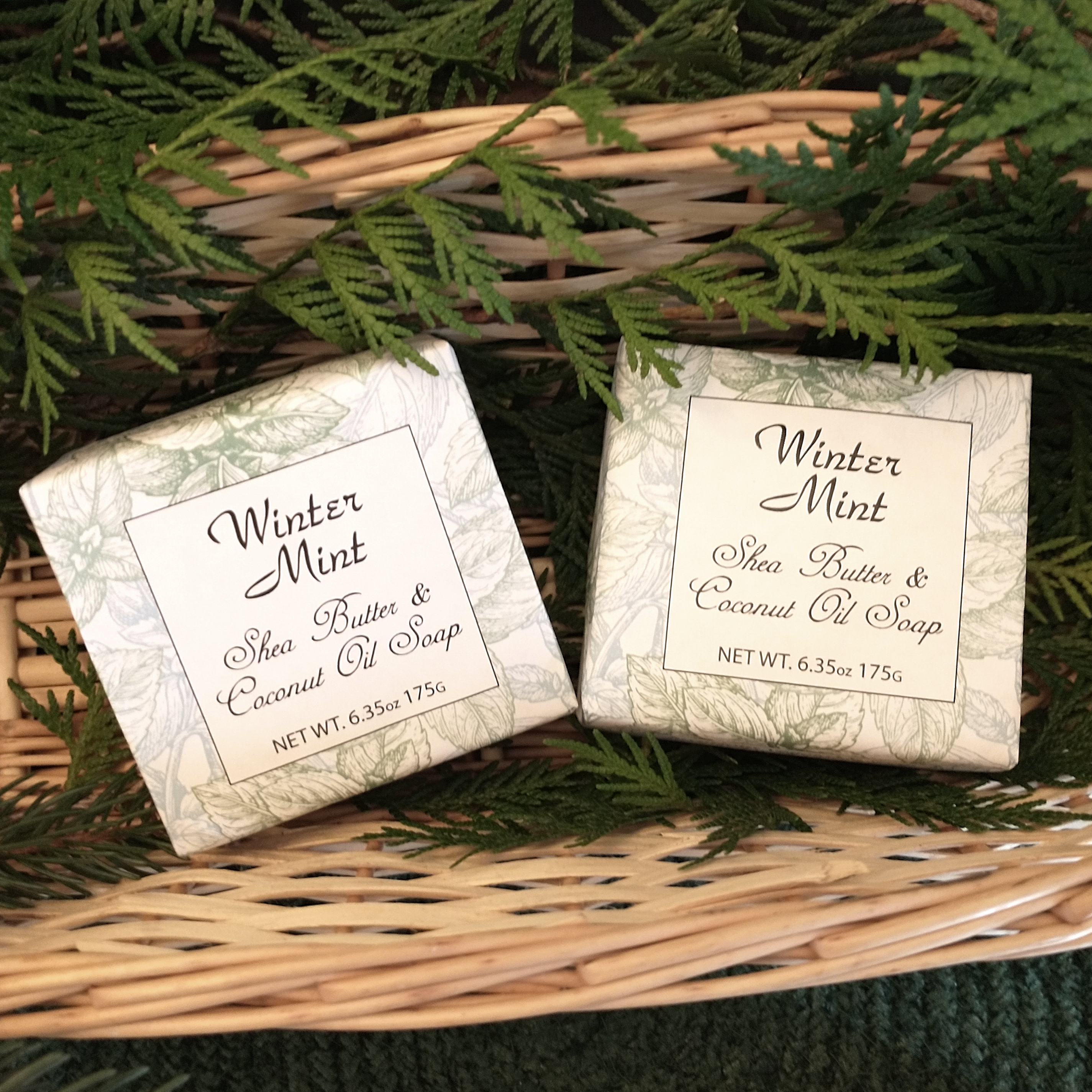 Winter Mint with Shea Butter &amp; Coconut Oil - 6 Pack Individually Wrapped Bars